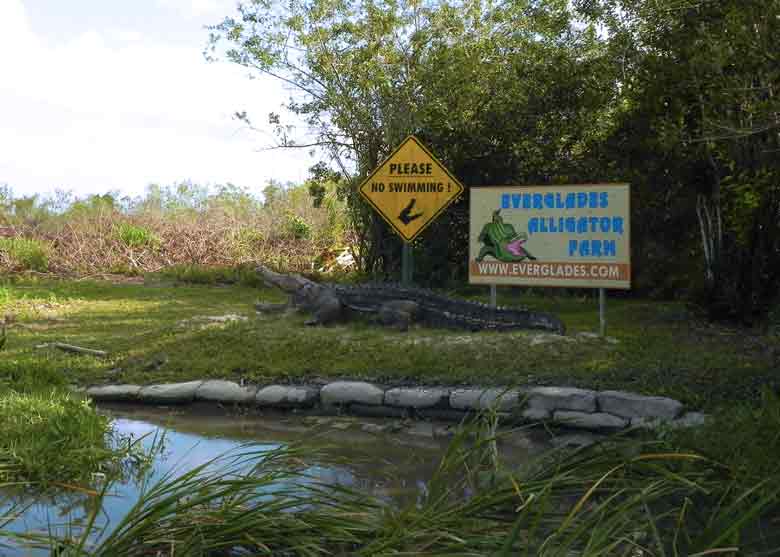 Photo of the Everglades National Park in Miami