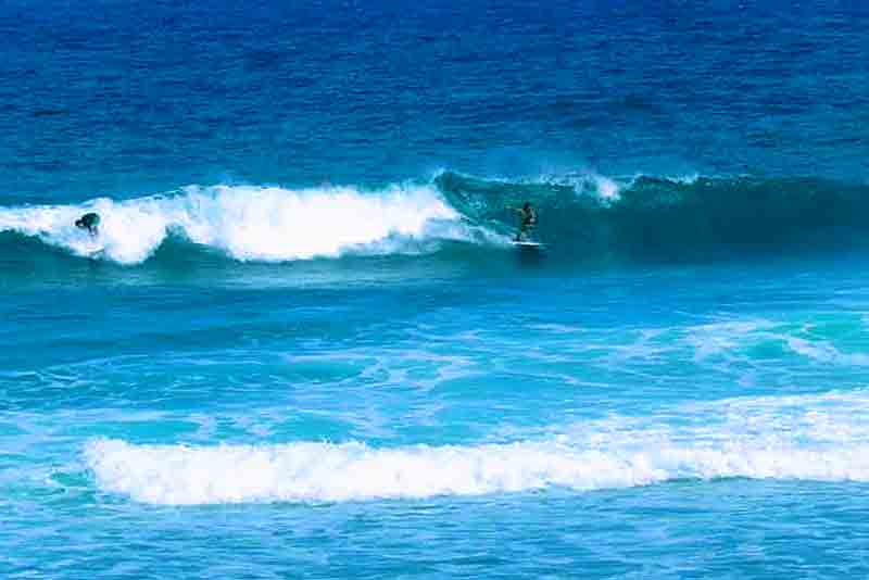 Photo of Surfing in Bathsheba Beach Barbados