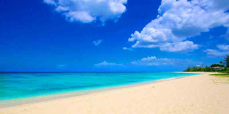 Photo of Blueberry Beach Barbados