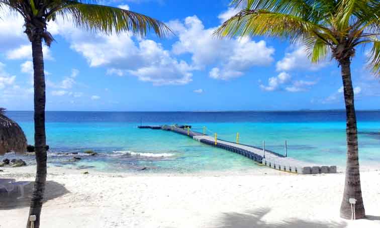 Photo of Divi Flamingo Beach in Kralendijk Bonaire Cruise Port 