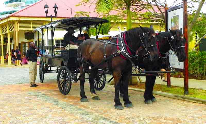Photo of Horse Drawn Tour in Falmouth, Jamaica