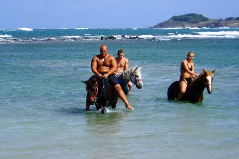 Horseback Riding Saint Lucia Castries Cruise Ship Port Photo of Horseback Riding in Saint Lucia