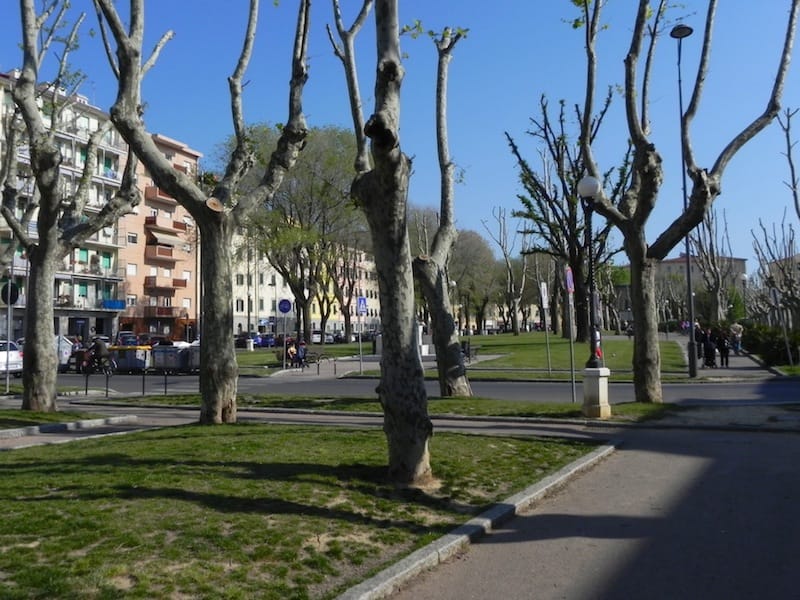 Photo of Piazza Mazzini in Livorno