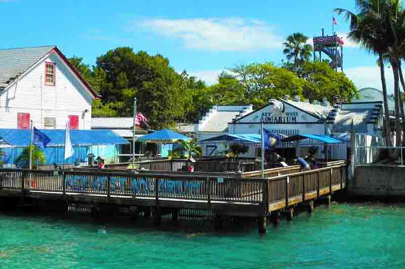 Aquarium Key West Cruise Port Photo of Aquarium in Key West.