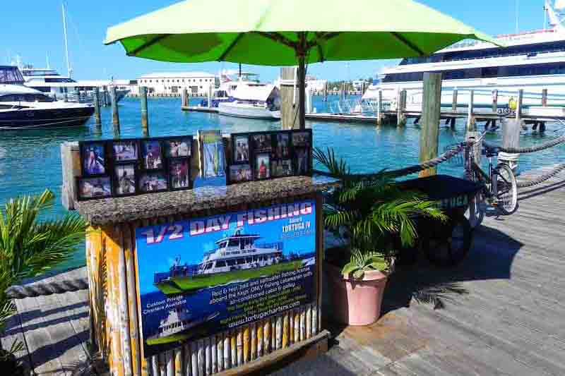 Photo of Fishing Tours in Key West