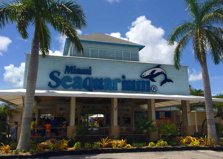 Photo of Seaquarium in Miami