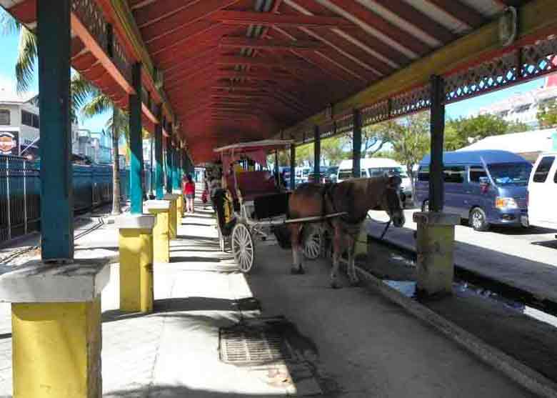  of Horse Carriage Tours at the Cruise Terminal in Nassau.
