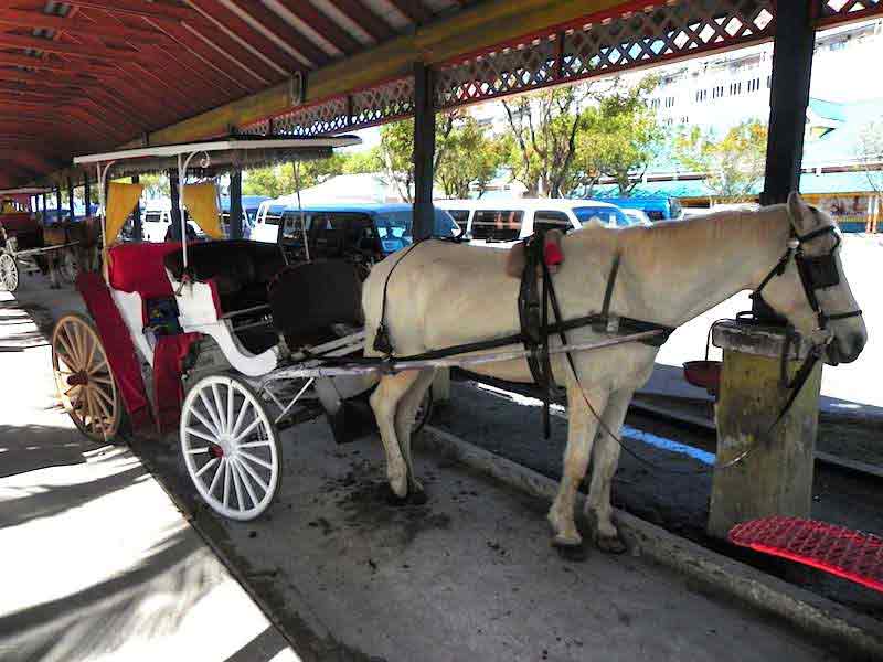 Photo of Horse Drawn Carriage in Nassau.