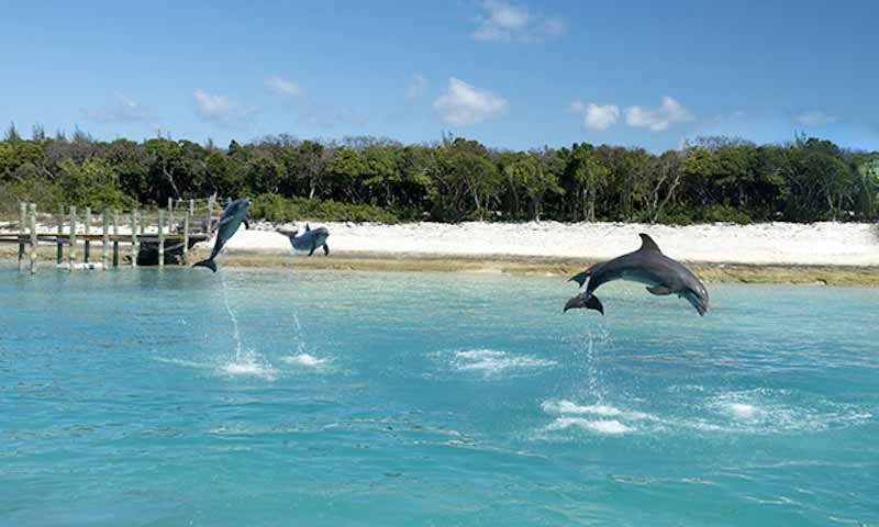 Photo of Balmoral Island Tour in Nassau