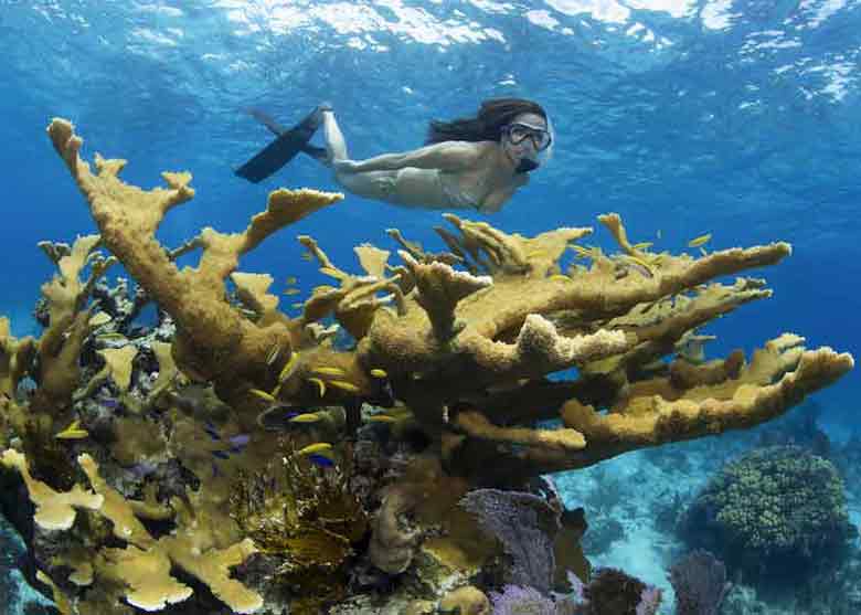 Photo of Snorkel Excursion in Nassau