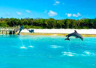 Photo of Balmoral Island Shore Excursion Nassau