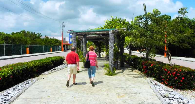 Photo of Road Outside Terminal in Costa Maya