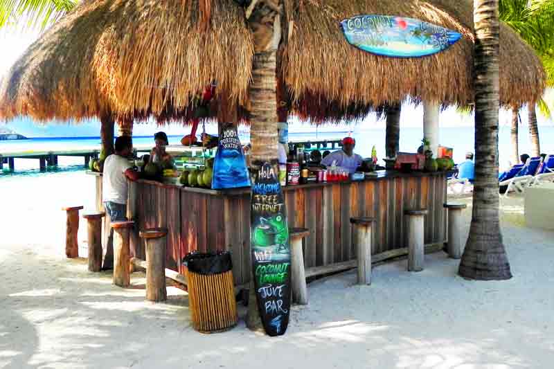 Photo of Coconut Lounge Grill (Puerta Maya Terminal) in Cozumel