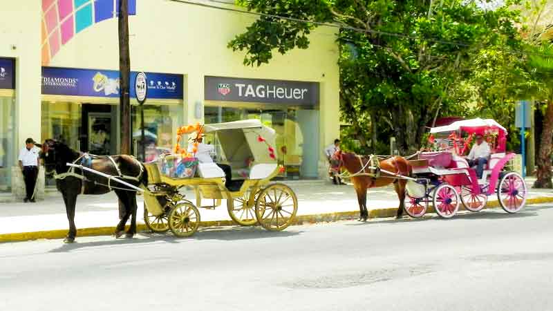 Photo of Sightseeing Outside the Terminal in Cozumel