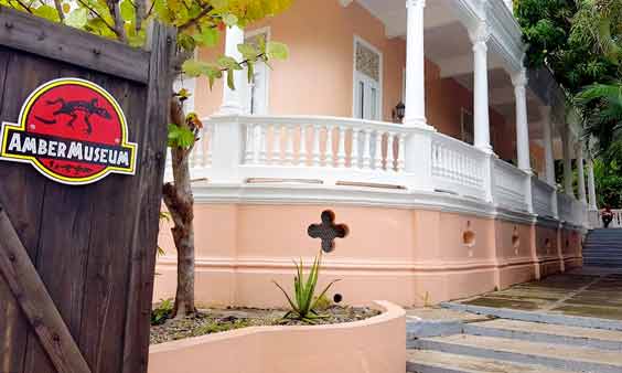 Photo of Amber Museum in Puerto Plata Historical City