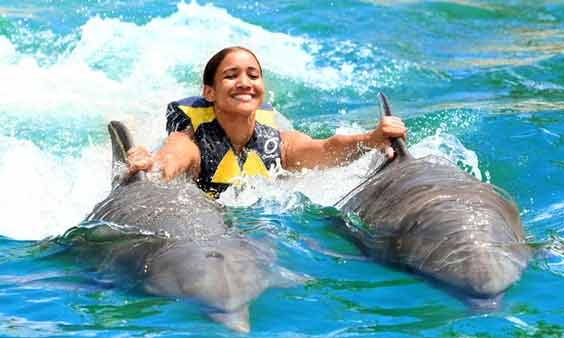 Photo of swim with Dolphins