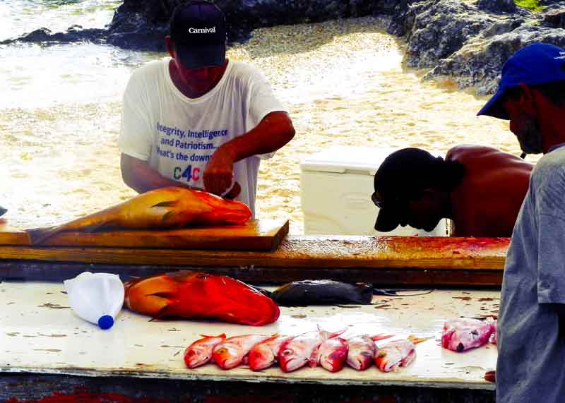 Fish Market in Grand Cayman