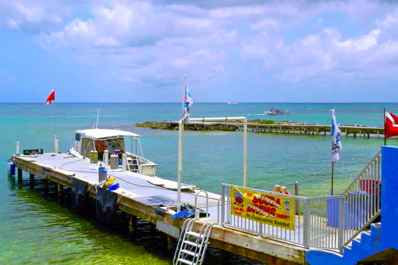 Scuba Diving in Grand Cayman