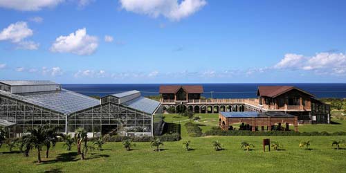 Photo of Eco-Park in Saint Kitts.