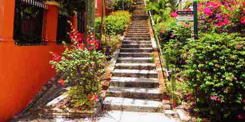 Photo of 99 Steps in St Thomas (Charlotte Amalie) 