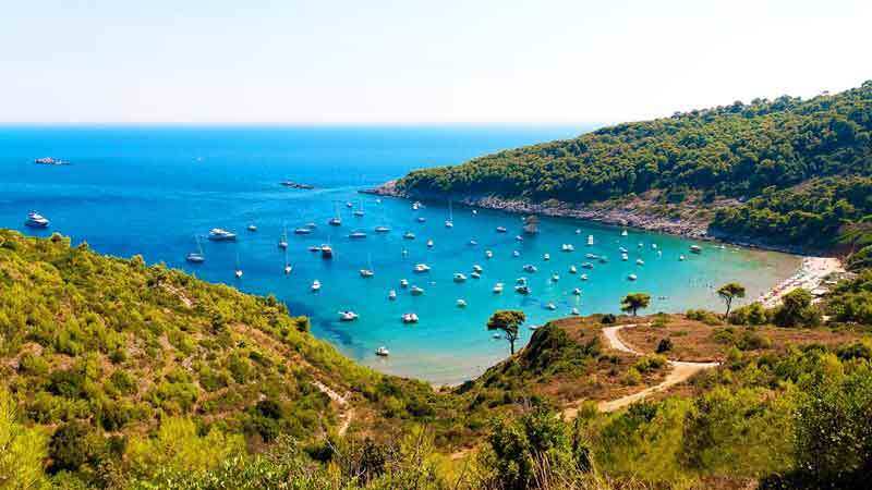 Lopud Island near Dubrovnik Cruise Port Photo of Lopud Island near Dubrovnik