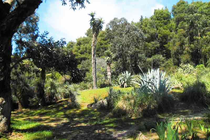 Photo of Lokrum Botanical Gardens near Dubrovnik