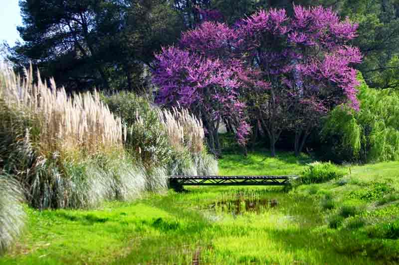 Photo of Golf Club in Corfu