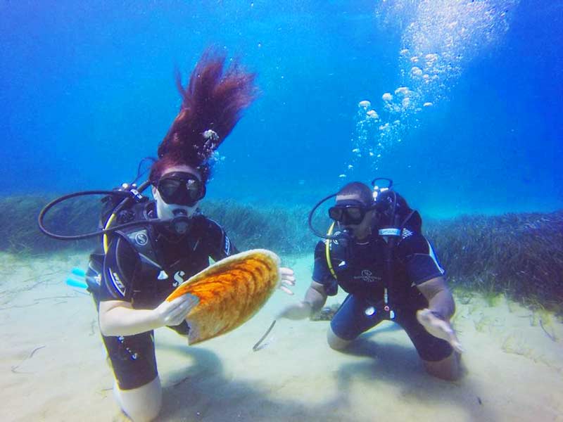 Photo of Divers with Sea Shell in Mykonos, Greece.